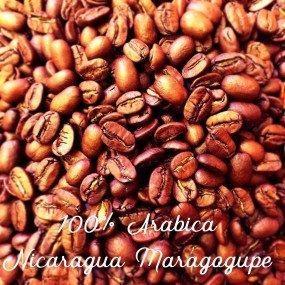 Кава зернова Arabica Nicaragua Maragogype 20scr C.B. 