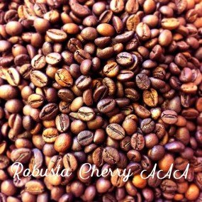 Кава зернова Robusta India Cherry AAA 19scr (Робуста Індія Черрі ААА). 