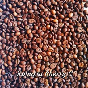 Кава зернова Robusta India Cherry С 16/17scr (Робуста Індія Черрі С). 