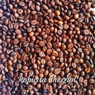 Кава зернова Robusta India Cherry С 16/17scr (Робуста Індія Черрі С). 