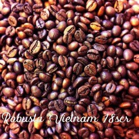 Кава зернова Robusta Vietnam 18scr WP C.B.