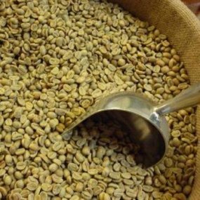 Зелена Зернова Кава Arabica Brazil Yellow Burbon C.B.(20кг/м)