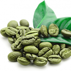 Зелена Зернова Кава Arabica Colombia Supremo Decaf 18scr C.B.