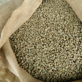Зелена Зернова Кава Arabica Colombia Supremo Sofia 19scr C.B.(70кг/м)