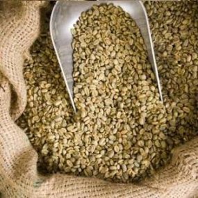 Зелена Зернова Кава Arabica Costa Rica SHB C.B.(20кг/м)