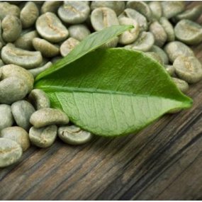 Зелена Зернова Кава Arabica Honduras SHG 18scr C.B.