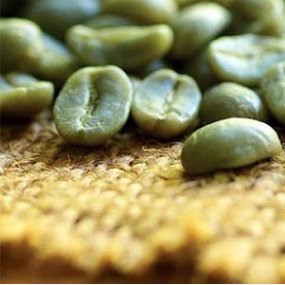 Зелена Зернова Кава Arabica Tanzania AA 18scr C.B.