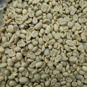 Зелена Зернова Кава Robusta India Cherry AA 18scr C.B.(20кг/м)