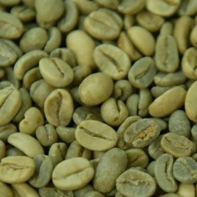 Зелена Зернова Кава Robusta Indonesia ELB Grade 2 C.B.(20кг/м)