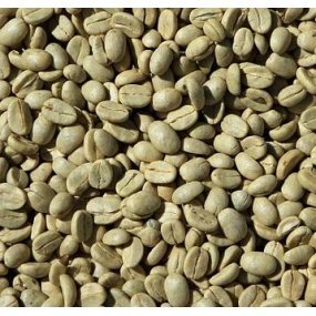 Зелена Зернова Кава Robusta Vietnam 16scr C.B.(20кг/м)
